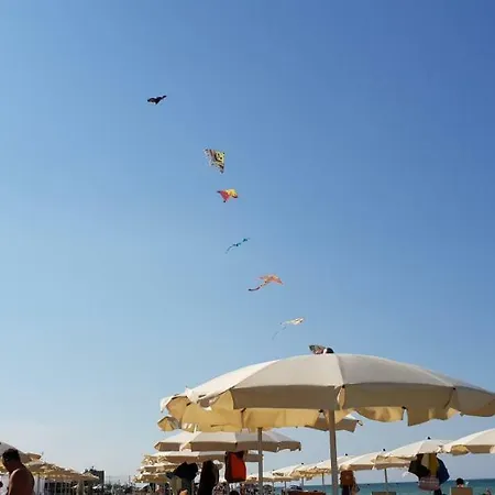 Hotel Ambassador Marotta